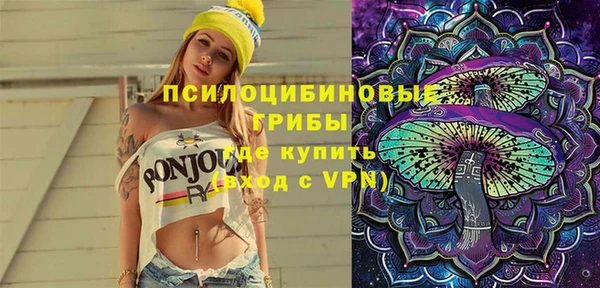 МДПВ Алексин