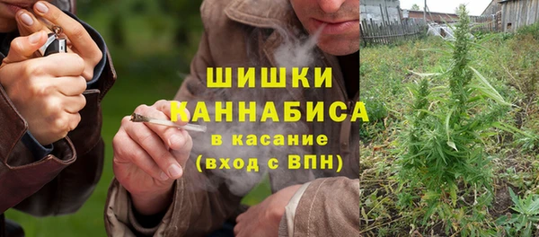 винт Алзамай