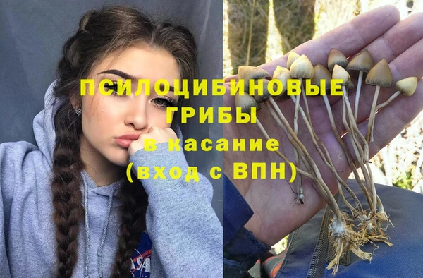 альфа пвп Алексеевка