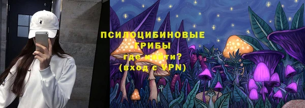 МДПВ Алексин