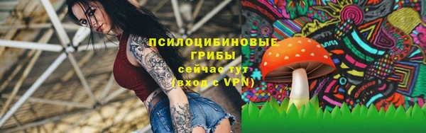 МДПВ Алексин