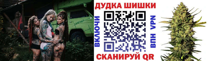 Купить  Новоалтайск  Каннабис план 